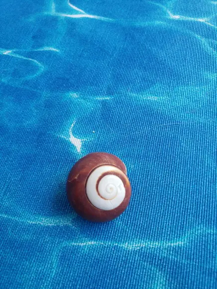 Concha do Mar Cod 194