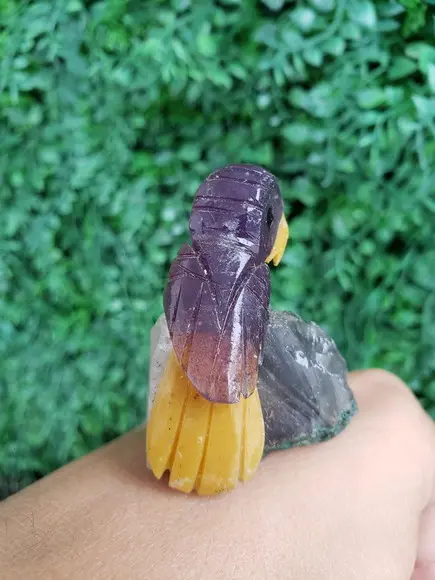 Coruja de pedra 11