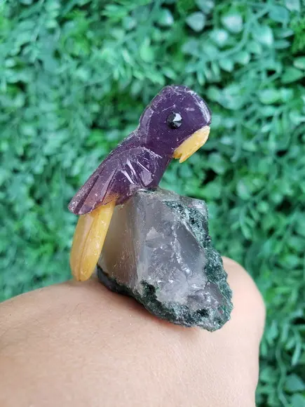 Coruja de pedra 11