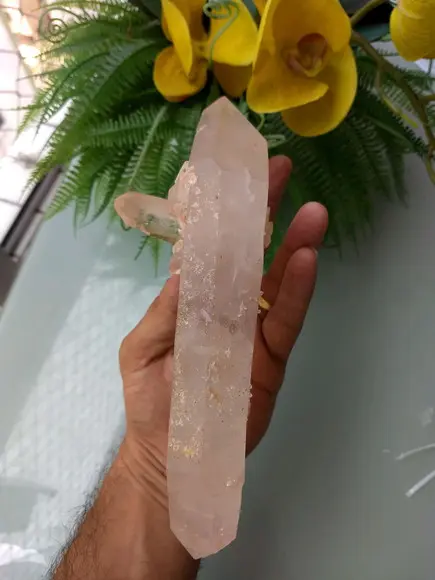 Cristal Bruto 10
