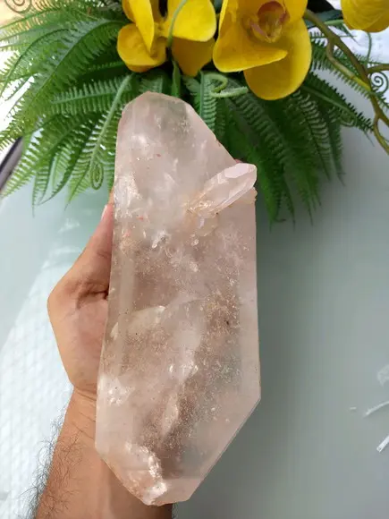 Cristal Bruto 10