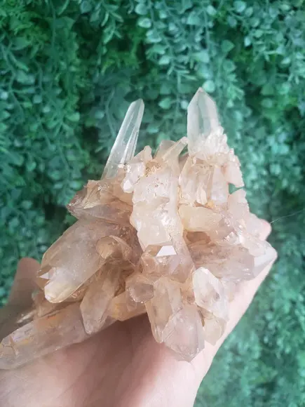 Cristal Bruto Cod 02