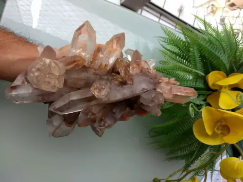 Cristal Bruto 11