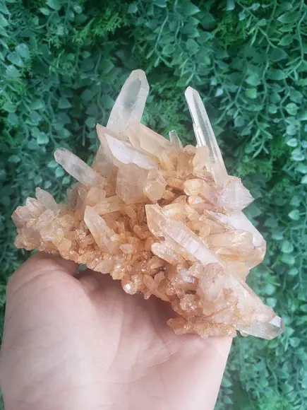 Cristal Bruto Cod 02