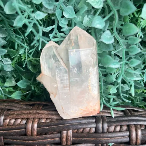 Cristal Bruto Cod 15