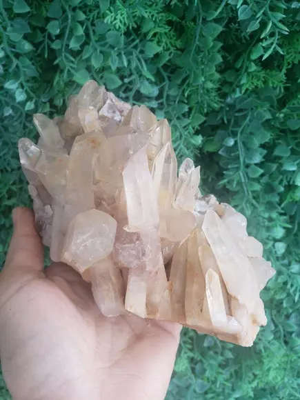 Cristal Bruto Cod 12