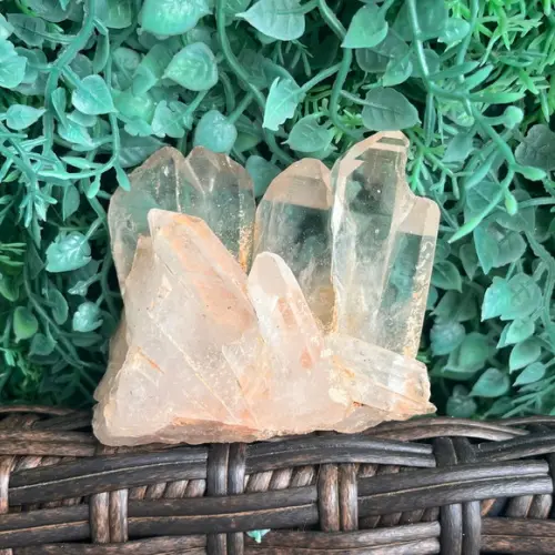 Cristal Bruto Cod 17