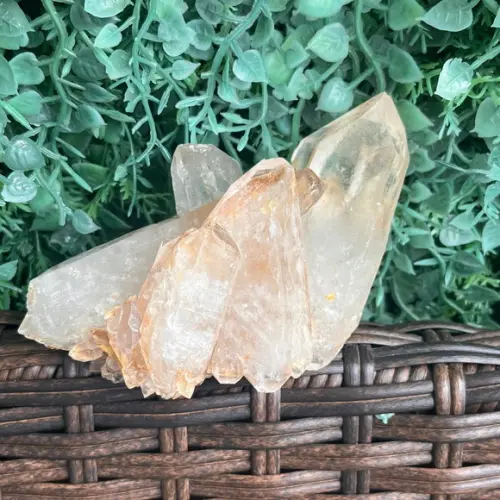 Cristal Bruto Cod 18