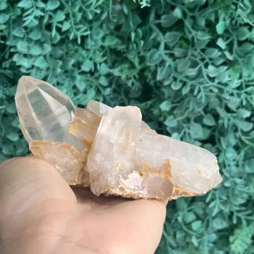 Cristal Bruto Cod 18