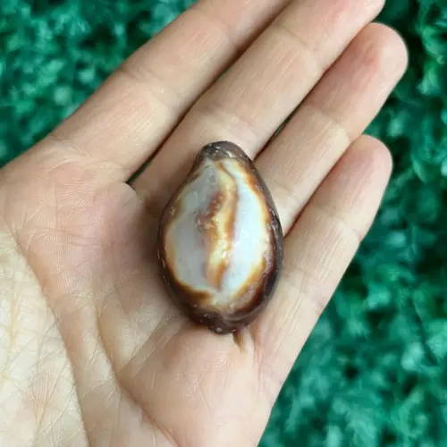 Cypreia Ônix Cod 1