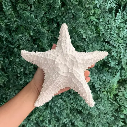 Estrela de Fibra m