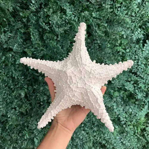 Estrela de Fibra G