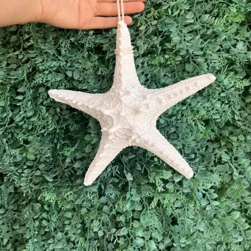 Estrela do Mar de Resina Decorativa