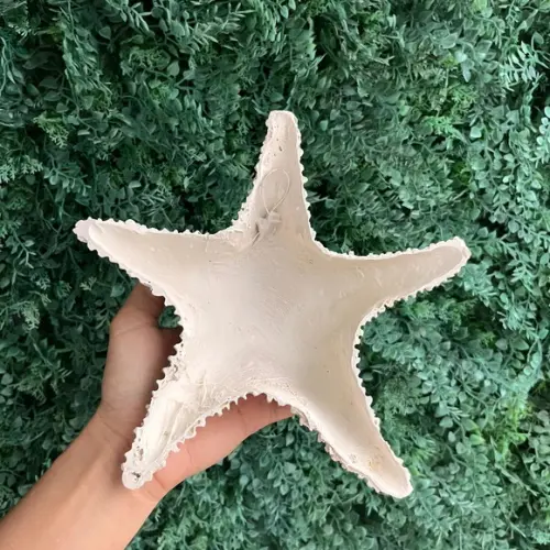 Estrela de Fibra m