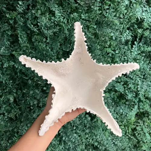 Estrela de Fibra G