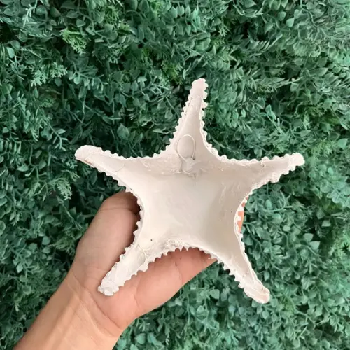Estrela de Fibra Parede P