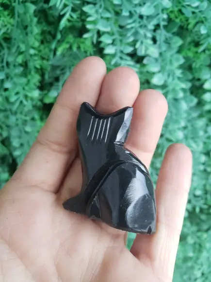 Gato de Pedra Preto