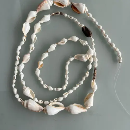 Fio de Conchas do Mar