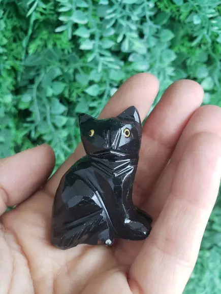 Gato de Pedra Preto