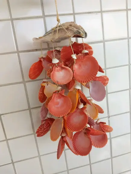 Mobile conchas