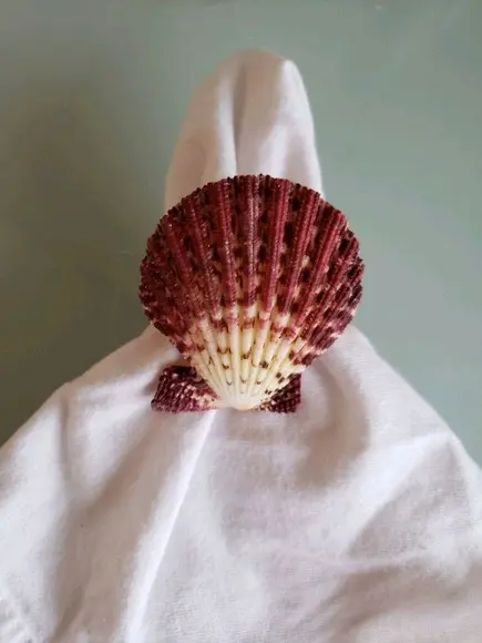 Porta guardanapo de conchas