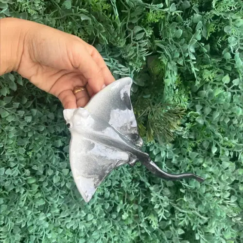Raia de Parede Fibra P 20 cm