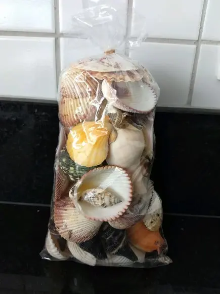 Saco de Conchas do Mar Natural G