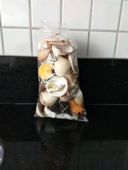 Saco de Conchas do Mar Natural G