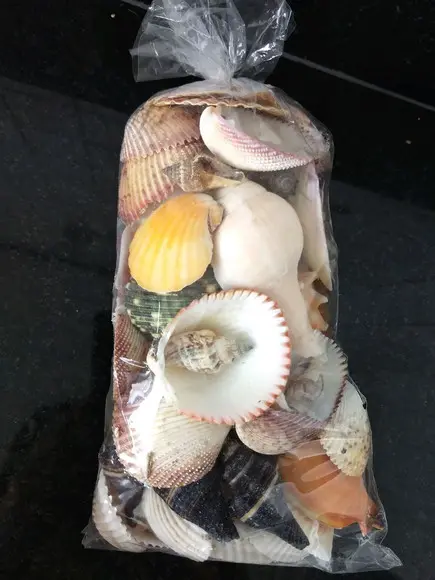 Saco de Conchas do Mar Natural G