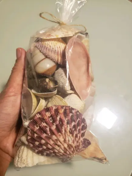 Saco de Conchas do Mar P