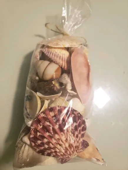 Saco de Conchas do Mar P