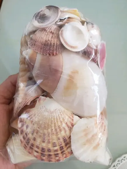 Saco de Conchas do Mar P