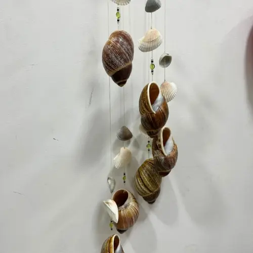 Sinos dos Ventos Conchas