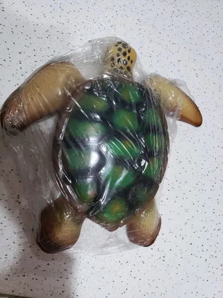 Tartaruga de resina parede
