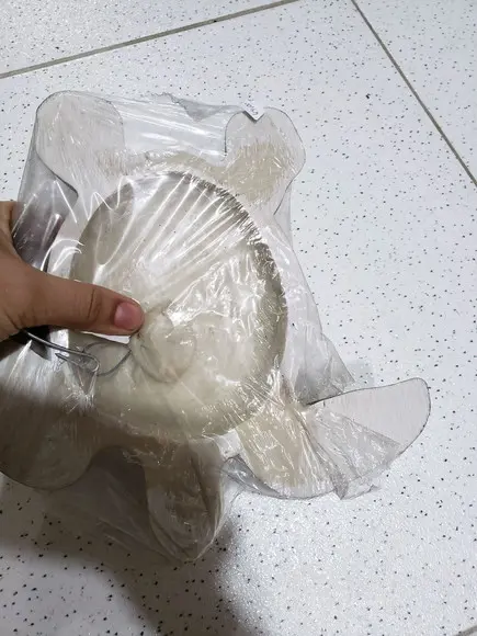 Tartaruga de resina parede