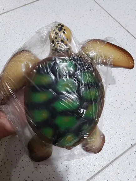 Tartaruga de resina parede