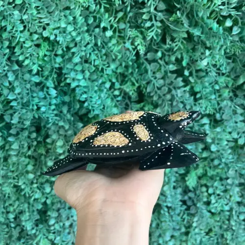 Tartaruga Madeira Leve Cod P02