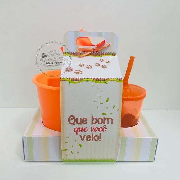 Kit Cineminha na Caixa com Alça Leãozinho