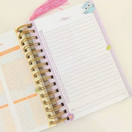 Agenda Personalizada Corujinha