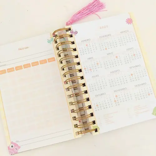 Agenda Personalizada Corujinha