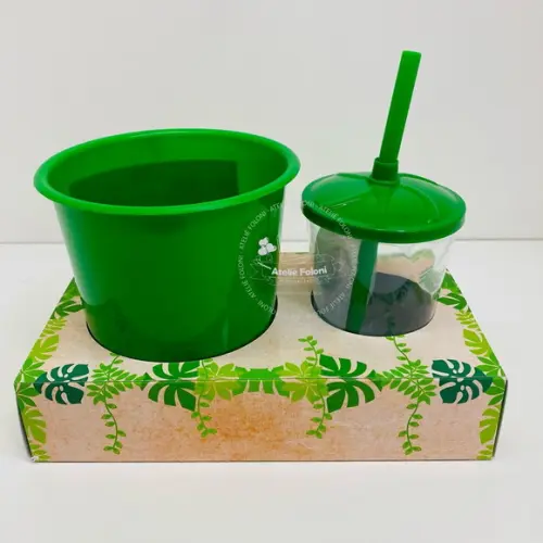 Kit Cineminha na Caixa Rei Leão