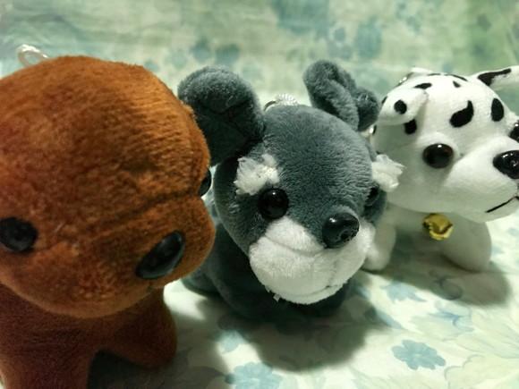 Cachorro em Pelúcia Chaveiro