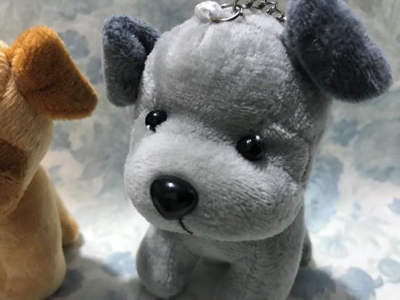 Cachorro em Pelúcia Chaveiro 20 Unid