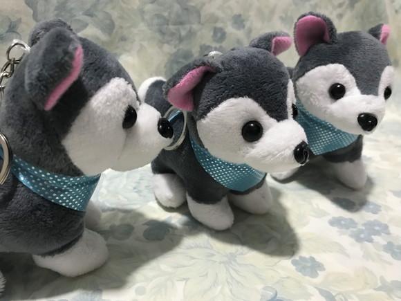 Cachorro em Pelúcia Chaveiro Husky Mod2 15unid