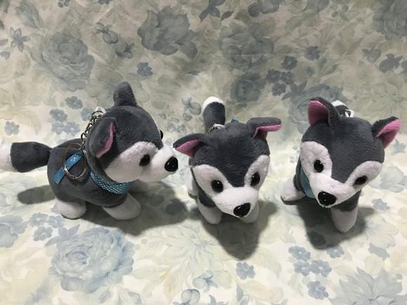Cachorro em Pelúcia Chaveiro Husky Mod2 30unid