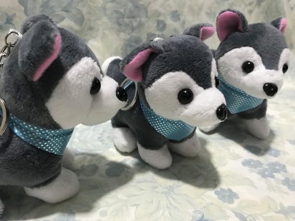 Cachorro em Pelúcia Chaveiro Husky Mod2 30unid