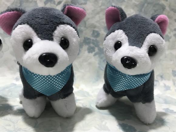 Cachorro em Pelúcia Chaveiro Husky Mod2 30unid