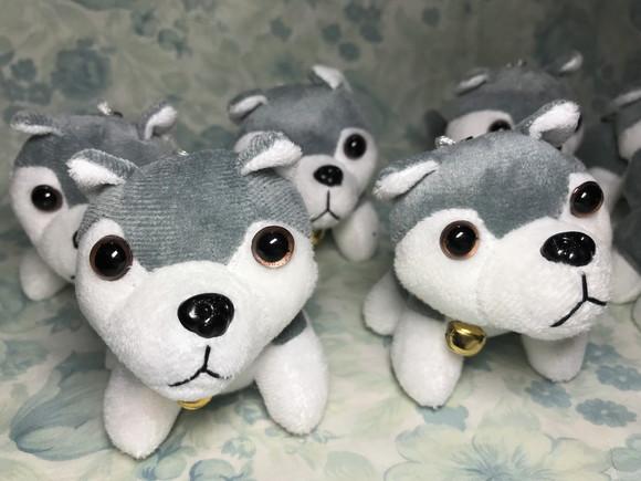 Cachorro em Pelúcia Chaveiro Husky Siberiano 20 Unidades