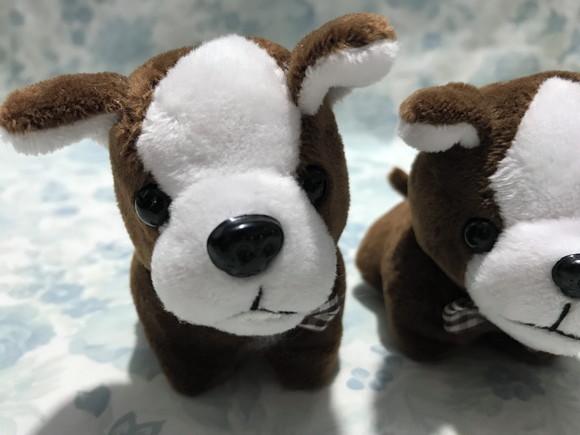 Cachorro em Pelúcia Chaveiro Marrom Escuro Fs 20 Unidades