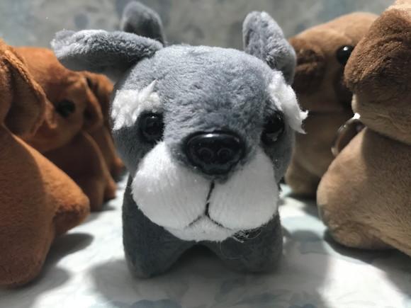 Cachorro em Pelúcia Chaveiro Variado 110 Unidades